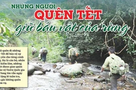 Những người quên Tết giữ báu vật của rừng