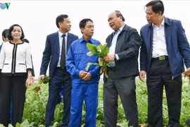 Thủ tướng: Nông nghiệp có thể trở thành 'đòn bẩy' chiến lược