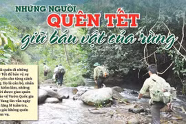 Những người quên Tết giữ báu vật của rừng