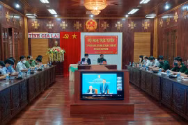 Tập huấn nâng cao năng lực quản lý biên giới