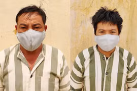 Kbang: Khởi tố 3 đối tượng khai thác trái phép gần 19 m3 gỗ