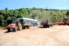 Kon Tum chỉ đạo kiểm tra toàn bộ trạm cân thu mua nông sản