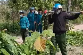 Đề nghị xử lý đối tượng chống người thi hành công vụ