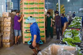 HTX Laba Banana Đạ K'Nàng được xét chọn Top 50 Thương hiệu mạnh Asean