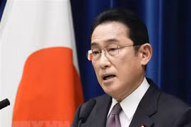 Thủ tướng Nhật Bản Kishida Fumio lên kế hoạch công du Đông Nam Á