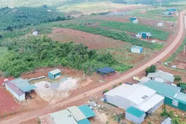 Vì sao rừng vẫn liên tục bị thảm sát?