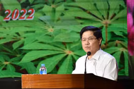 Thứ trưởng Bộ Nông nghiệp và PTNT Lê Quốc Doanh: Tập trung tìm giải pháp tăng năng suất, chất lượng cây mì