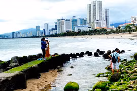 Bãi rêu mùa xuân