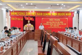 Gia Lai: Giao ban công tác nội chính và phòng-chống tham nhũng, tiêu cực