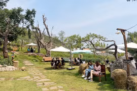 Dạo quanh Phố núi trong kỳ nghỉ Giỗ Tổ Hùng Vương