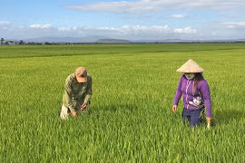 Cơ hội đưa nông sản Phú Thiện vươn xa