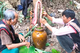 Người Jrai ở xã Ia Pếch tổ chức lễ cúng rừng