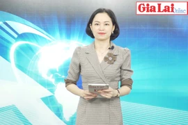 Gia Lai 48h: Bí thư Tỉnh ủy Hồ Văn Niên chỉ đạo tập trung triển khai thực hiện tốt các phong trào thi đua chào mừng các sự kiện lớn