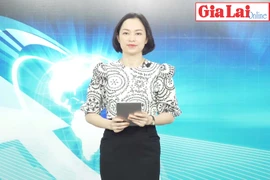 Gia Lai 48h: Vụ khai thác hơn 1.000 m3 cát ở An Khê: Phạt hơn 180 triệu đồng với 1 doanh nghiệp và 4 cá nhân