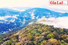 Cao nguyên Kon Hà Nừng-Viên ngọc xanh của thế giới