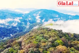 Cao nguyên Kon Hà Nừng-Viên ngọc xanh của thế giới