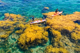 Thành phố bán đảo "đổi màu" du lịch Quy Nhơn