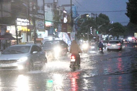 Gia Lai chủ động phòng ngừa, ứng phó với các loại hình thời tiết cực đoan, bất thường