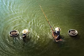 Ai về thương với mùa don