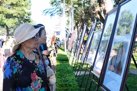 Gia Lai quy định mức chi tổ chức các hoạt động văn hóa, nghệ thuật