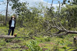 Sinh tồn cùng tự nhiên
