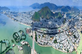 Lễ hội du lịch Bình Định: Có hoa hậu, cá ngừ; thiếu di sản văn hóa