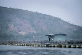 Làm lồng khổng lồ nuôi la liệt cá đặc sản dưới hồ thủy điện ở Đắk Lắk, có thứ cá tầm 20 năm mới đẻ