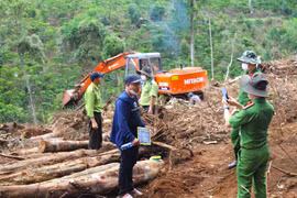 Lâm Đồng: Hơn 160 cán bộ, nhân viên bị kỷ luật do thiếu trách nhiệm để rừng bị phá