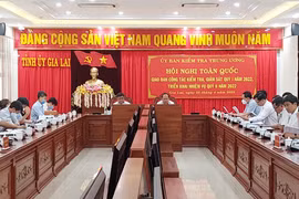 Triển khai công tác kiểm tra, giám sát, thi hành kỷ luật Đảng quý II