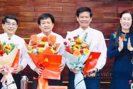 Quảng Ngãi: Điều động, bổ nhiệm nhiều cán bộ lãnh đạo cấp ngành tỉnh, huyện