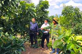 Cựu chiến binh Kông Chro tích cực phát triển kinh tế-xã hội