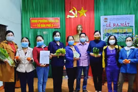 Pleiku: Ra mắt 2 tổ hội trồng rau an toàn và cà phê