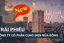 Nhóm Tân Hoàng Minh huy động vốn lãi suất cao để làm gì?