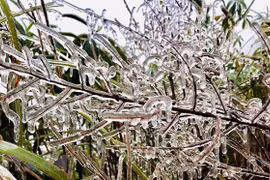 Lào Cai: Fansipan xuất hiện băng giá phủ trắng giữa mùa Xuân