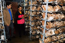 ''Dân vận khéo'' trong vùng đồng bào dân tộc ở Lạc Dương