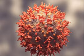 Biến thể mới XE lây nhanh hơn Omicron nguy hiểm thế nào?