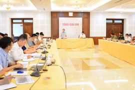 Dự kiến đến năm 2050, Cảng Hàng không Pleiku khai thác 5 triệu hành khách/năm