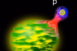 Tạo ra hạt nhân nguyên tử kỳ lạ hình quả bí ngô