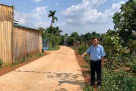 Tập trung nguồn lực kiên cố hóa giao thông nông thôn