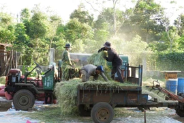 Ia Sao hướng đến nông thôn mới nâng cao