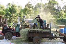 Ia Sao hướng đến nông thôn mới nâng cao