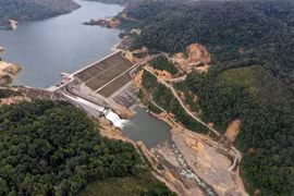 Sống trong vùng tâm chấn