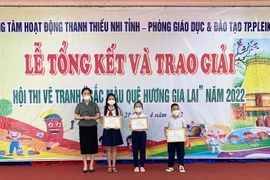 Pleiku: Trường Tiểu học Nguyễn Văn Trỗi đạt giải nhất tập thể Hội thi vẽ tranh "Sắc màu quê hương Gia Lai"