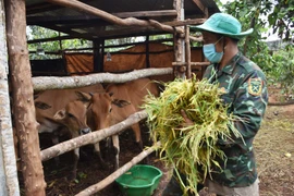 Chư Păh chăm lo an sinh xã hội