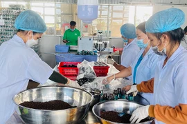 Chương trình OCOP: Cơ hội phát triển của hợp tác xã