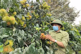 Ia Tô: Đổi thay kỳ diệu