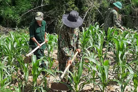 Đồn Biên phòng Ia Chía "3 bám, 4 cùng" giúp đỡ địa phương