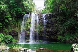 Gia Lai thành lập Ban Quản lý Khu dự trữ sinh quyển thế giới Cao nguyên Kon Hà Nừng