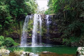 Gia Lai thành lập Ban Quản lý Khu dự trữ sinh quyển thế giới Cao nguyên Kon Hà Nừng