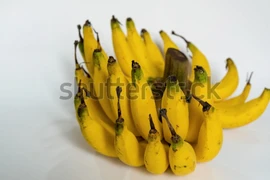 Chuối tiêu: Loại quả ngon bổ rẻ, vị thuốc đường tiêu hóa